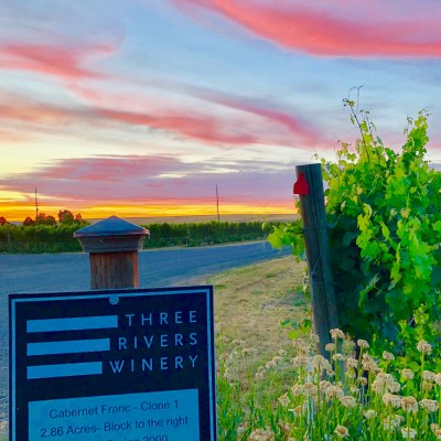Estate vineyard sign at sundown 2019
