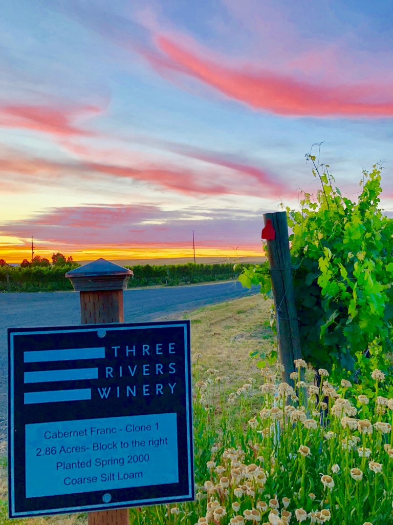 Estate vineyard sign at sundown 2019